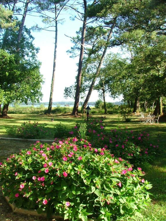 Villa De L'Etang Blanc セノッス - ル・ペノン エクステリア 写真