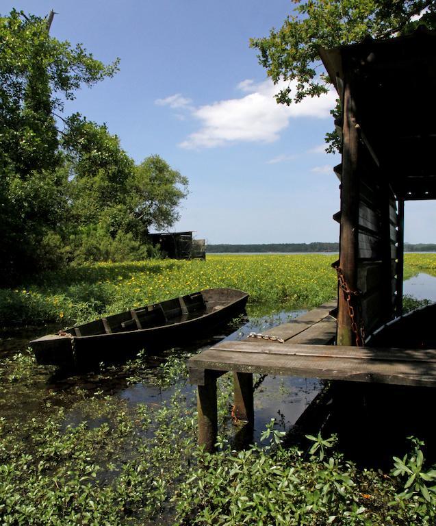 Villa De L'Etang Blanc セノッス - ル・ペノン エクステリア 写真
